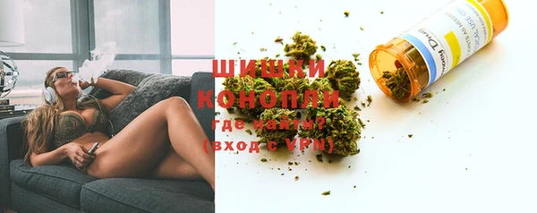 PSILOCYBIN Вязники