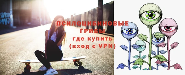 бошки Вязьма
