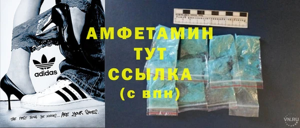 PSILOCYBIN Вязники