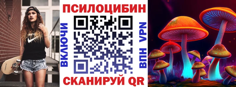 Псилоцибиновые грибы мицелий  Купить закладки  Порхов 